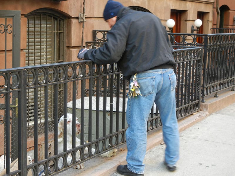 Dog This guy just walked up and started playing with this dog for a few minutes before walking away