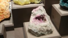 Nomnomnom I'm a Rock!