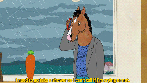 Bojack Horseman on Shower Crying