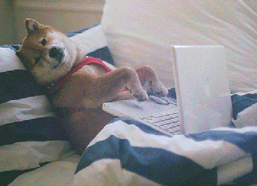 My Totally Great Guide to Managing Email Like a Pro