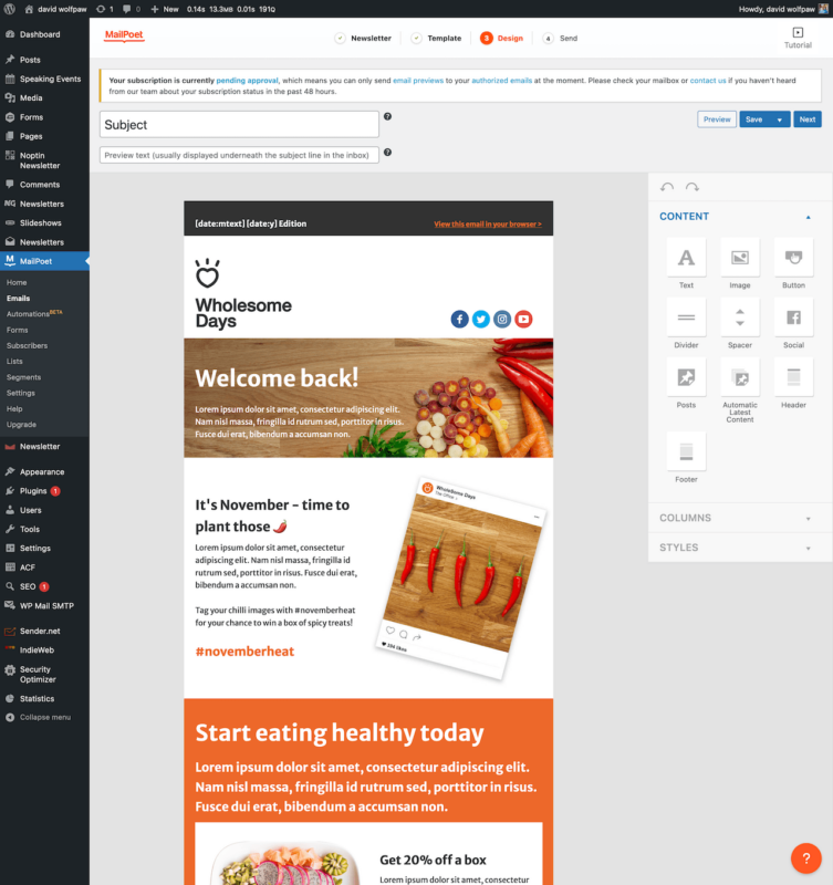 WordPress editor for MailPoet newsletter