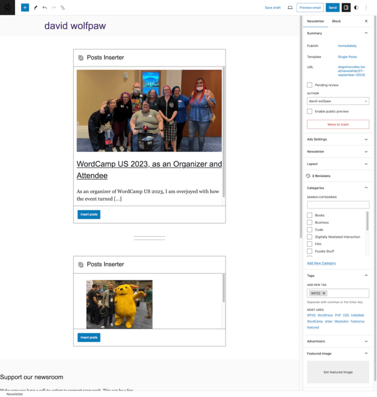 WordPress editor for Newspack newsletter