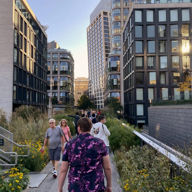 Timothy and Shooshy walking on the Highline in NYC with interesting buildings in front of them