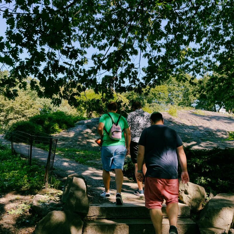 Timothy, Shooshy, and Sebastian walking up steps away from the camera in Central Park in NYC