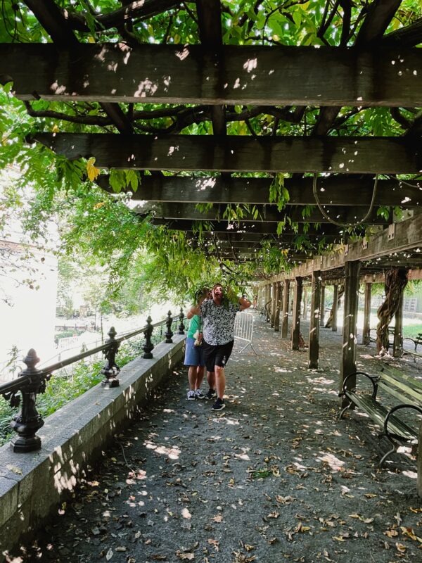 Timothy and Shooshy standing behind some vining plants under a terrace in Central Park in NYC