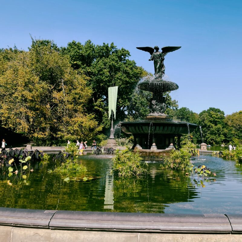 A statue on a fountain filled with water and water plants in Central Park in NYC