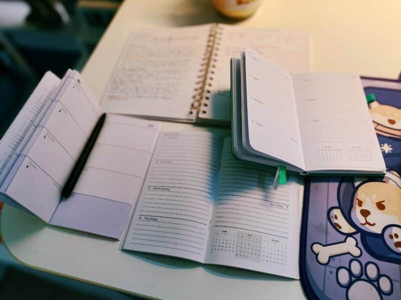 Several notebooks open on a desk next to a space shiba desk mat