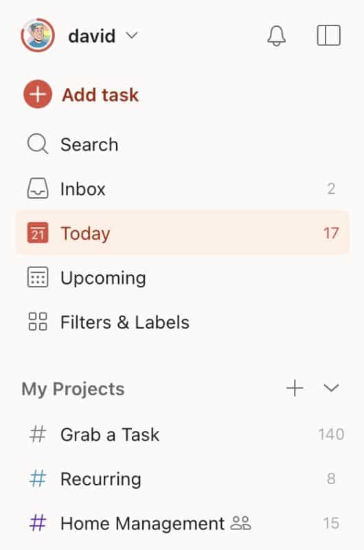 screenshot of david's Todoist sidebar showing daily tasks, recurring tasks, home management, and longer tasks