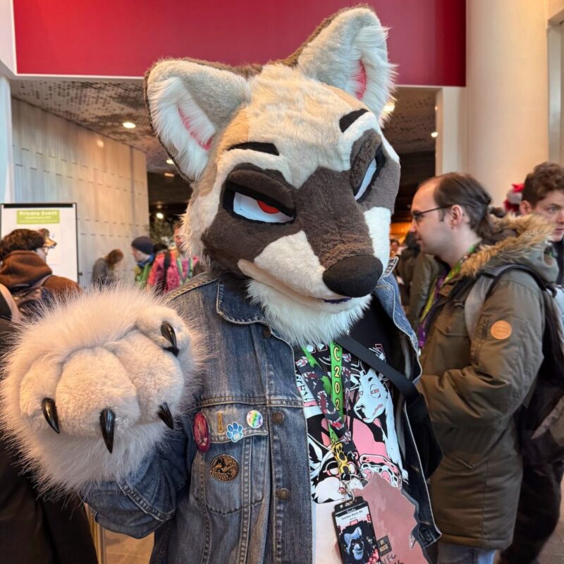 A person is dressed in a wolf fursuit at a convention. The costume features a detailed wolf head with white, black, and gray fur, as well as expressive eyes and ears. They are wearing a denim jacket adorned with colorful pins and badges, and a T-shirt with artistic graphics. The person is posing with a large paw raised, showcasing