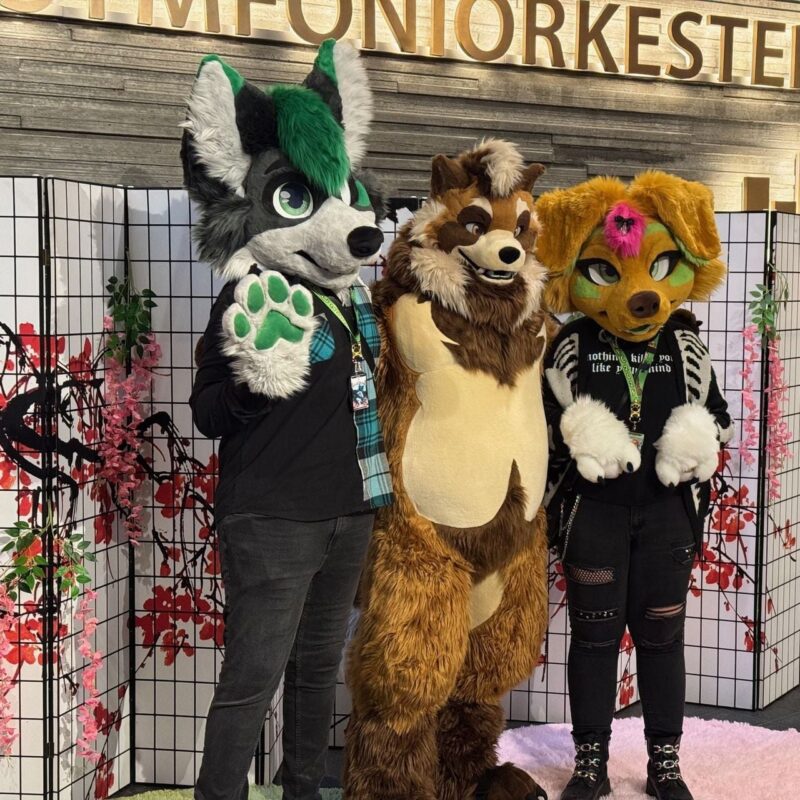 Three people in colorful furry costumes pose in front of a decorative screen with pink flowers. The first costume is a gray and green wolf with a playful expression. The second costume is a brown and cream raccoon with a friendly demeanor. The third costume is a yellow and green fox with a vibrant pink tuft of fur on its head. They are standing side