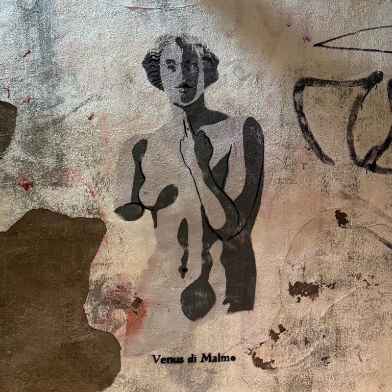 A stencil-style street art image on a textured wall shows a monochrome depiction of a person seen from the waist up, with an arm raised and middle finger pointing upward. The figure's features are simplified, with shadows creating depth. The background is rough and patchy, in shades of gray and brown. Below the artwork, Venus di Mal