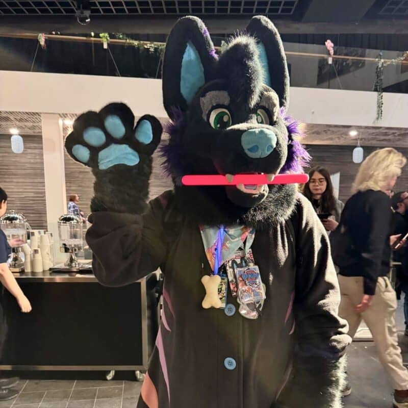 A person is wearing a black and blue fursuit, resembling a canine with large ears and expressive eyes. They are posing indoors with one paw raised, holding a red stick in their mouth. The fursuit features detailed shading and vibrant colors, including a blue nose and inner ears. Around their neck, several badges and a bone-shaped charm are