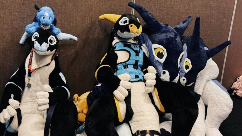 A group of plush creatures sitting against a brown wall. On the left, there is a large black and white dragon with a blue lanyard around its neck and a small blue dragon plush atop its head. In the center, a black, yellow, and white dragon is wearing a blue harness. On the right, there are two large blue and