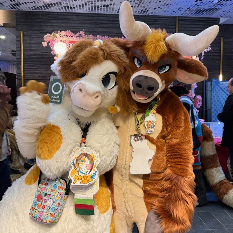 Two people are dressed in cute, colorful cow and bull fursuits at an indoor event. The cow suit is white with orange spots, and the bull suit is brown with large horns. They are standing close, hugging and smiling at the camera. Both are wearing badges with illustrations of their characters. Behind them, there is a backdrop with pink flowers