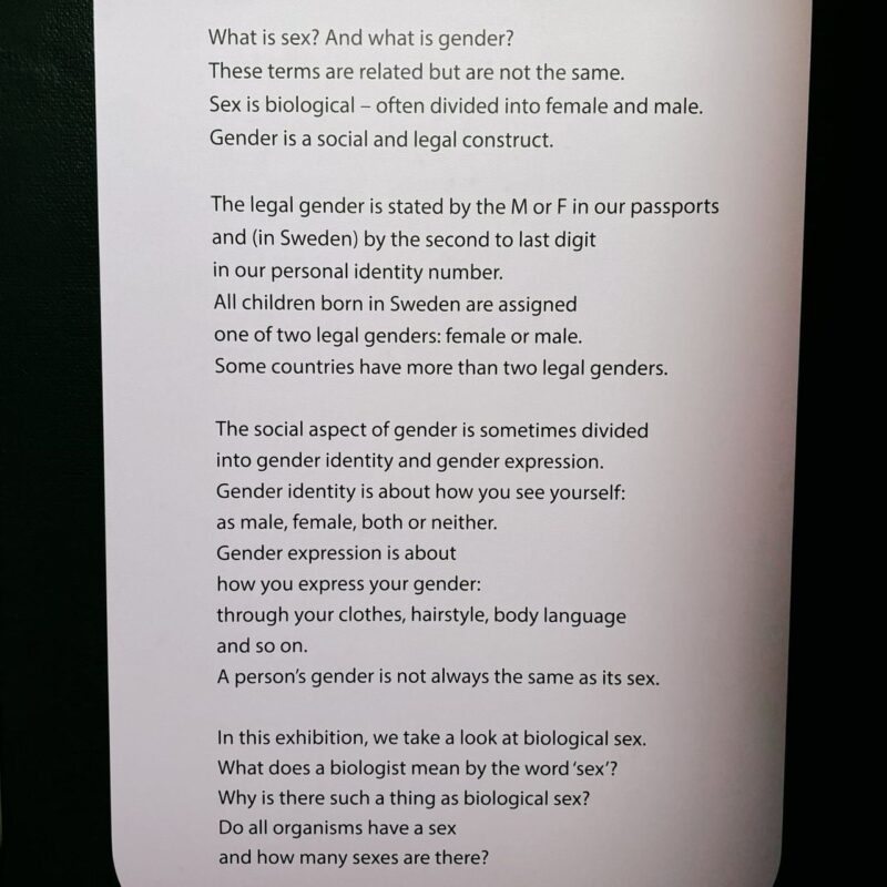 Text on a white paper examines the difference between sex and gender. It explains that sex is biological, often divided into female and male, while gender is a social and legal construct. It discusses how legal gender in Sweden is noted on passports and through personal identity numbers. Gender identity is personal self-perception, which can be male, female, both,