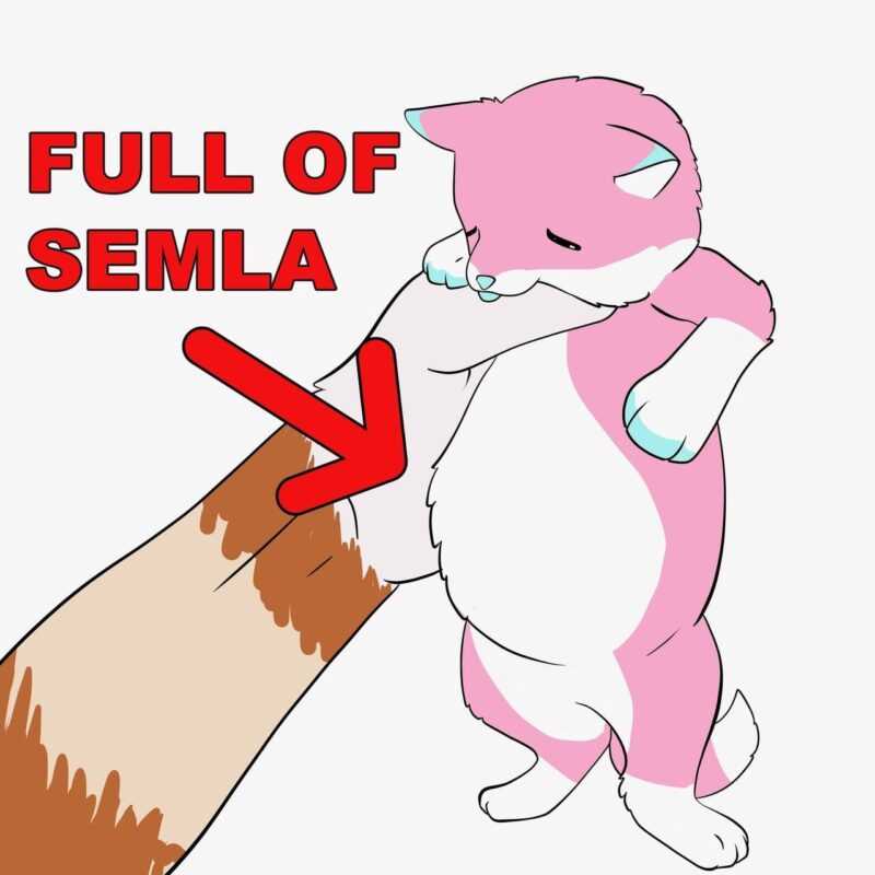 An illustrated, chubby pink and white cat is held by a hand. The cat looks content and has a round belly. A large red arrow points to the cat’s stomach, and the text above reads FULL OF SEMLA in bold red letters. The image has a playful and humorous tone, emphasizing the cat's full belly.