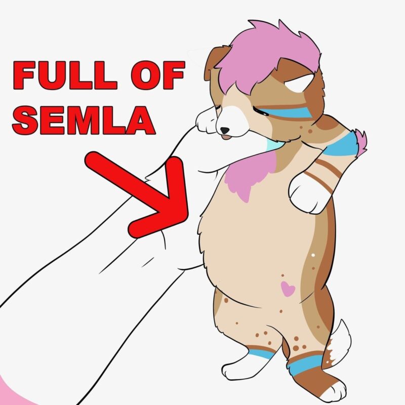 A cartoon drawing of a small, anthropomorphic dog with a pink and brown fur pattern. It has pink hair and blue markings, standing upright with a content expression. The dog's belly is highlighted with a red arrow pointing to it, accompanied by the bold red text, FULL OF SEMLA. The dog appears to be held up gently by a hand