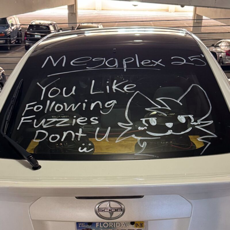 The image shows the rear window of a white car with a playful drawing and message in white marker. The text reads, Megaplex 25, followed by You like following fuzzies don't u. Below the words is a simple, cartoonish drawing of a furry animal face, likely a cat or wolf, with large eyes and a smiling