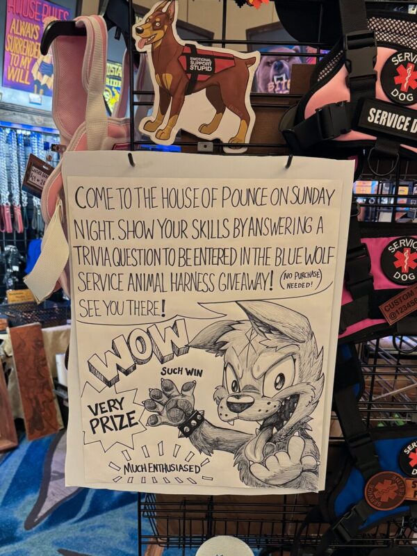 A colorful display shows pet harnesses with a sign promoting a trivia event at the House of Pounce on Sunday night. The sign invites participants to answer trivia for a chance to win a Blue Wolf service animal harness, mentioning No purchase needed! It features a cartoon drawing of an excited wolf with exaggerated features, accompanied by words like WOW,